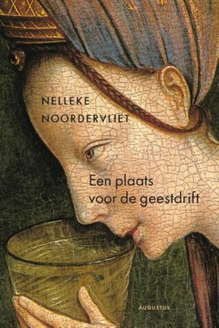 Een plaats voor de geestdrift - cover