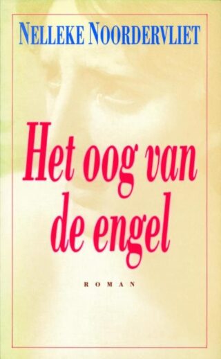 Het oog van de engel - cover