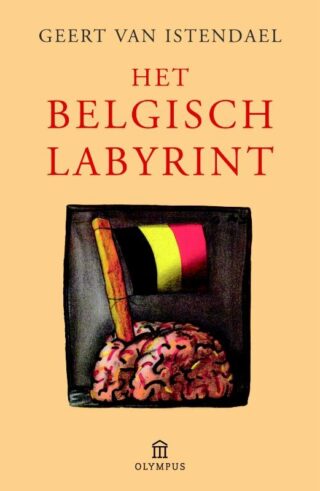 Het Belgisch labyrint - cover