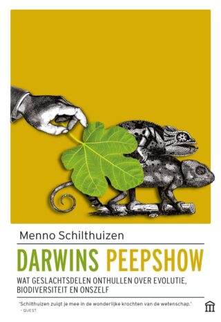 Darwins peepshow - cover