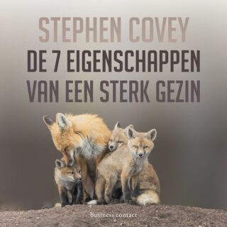 De zeven eigenschappen van een sterk gezin - cover