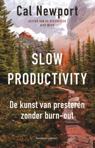 Slow productivity - cover