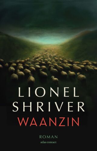 Waanzin - cover