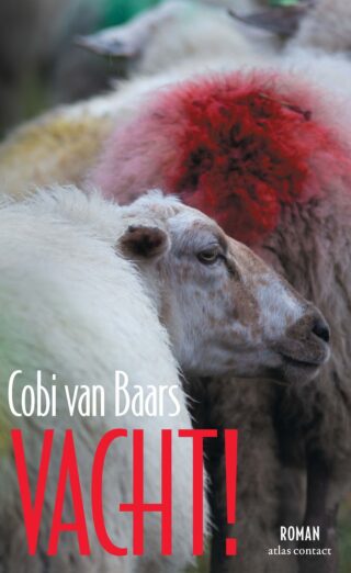 Vacht! - cover