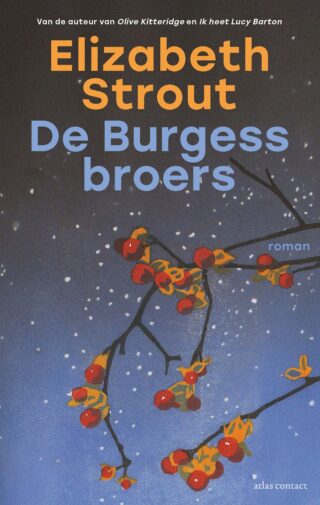 De Burgess-broers - cover
