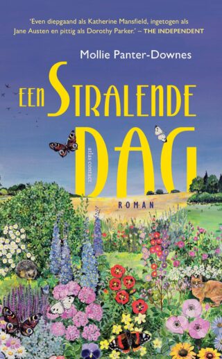 Een stralende dag - cover