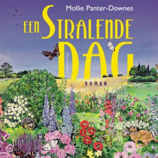 Een stralende dag - cover