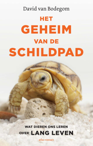 Het geheim van de schildpad - cover