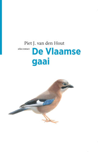 De Vlaamse gaai - cover