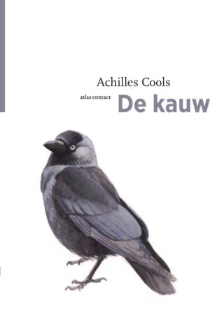 De kauw - cover