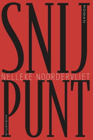 Snijpunt - cover
